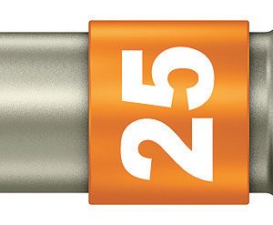 3867/1 TS P TORX® bits with pin, stainless