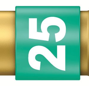 867/1 BDC TORX® bits